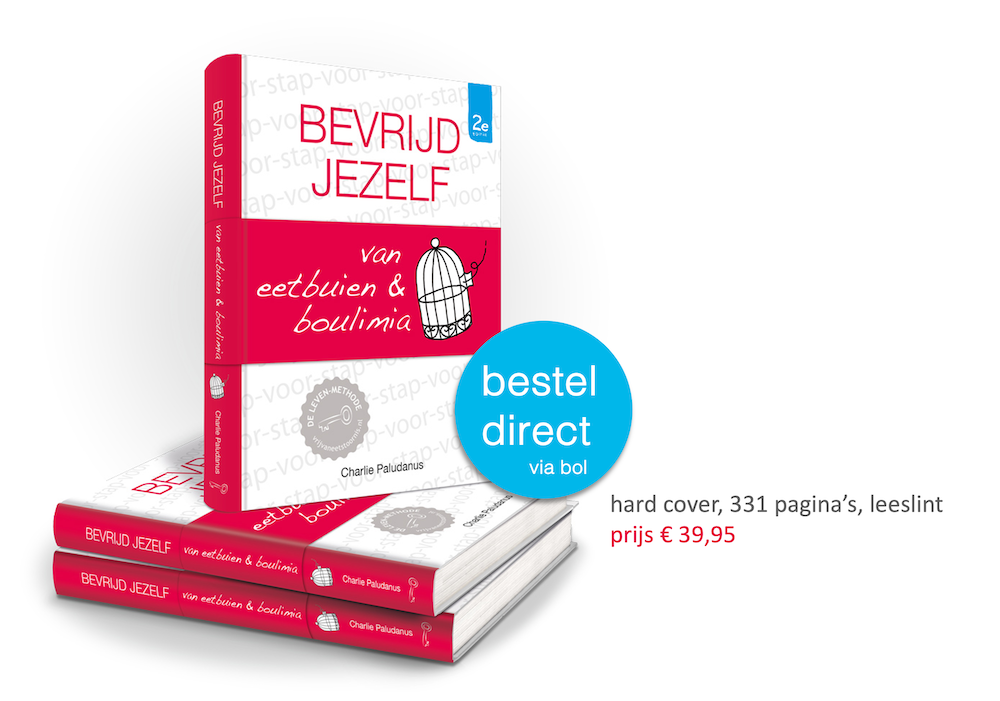 Afbeelding boek 'Bevrijd jezelf van eetbuien & boulimia met button: bestel direct via bol en specificaties boek: hard cover, 331 pagina's, leeslint, prijs